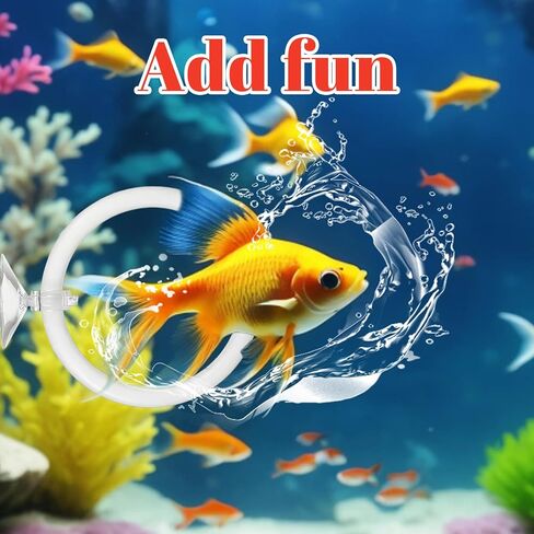 Betta Fish Exercise Ring and Betta Mirror Floating Ball Set Training Enrichment Toys Fish Tank Decorations Resting & Feeding Kit Aquarium for Small Tank in Kuwait
