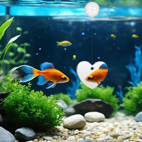 Betta Fish Exercise Ring and Betta Mirror Floating Ball Set Training Enrichment Toys Fish Tank Decorations Resting & Feeding Kit Aquarium for Small Tank in Kuwait