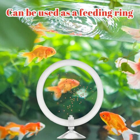 Betta Fish Exercise Ring and Betta Mirror Floating Ball Set Training Enrichment Toys Fish Tank Decorations Resting & Feeding Kit Aquarium for Small Tank in Kuwait
