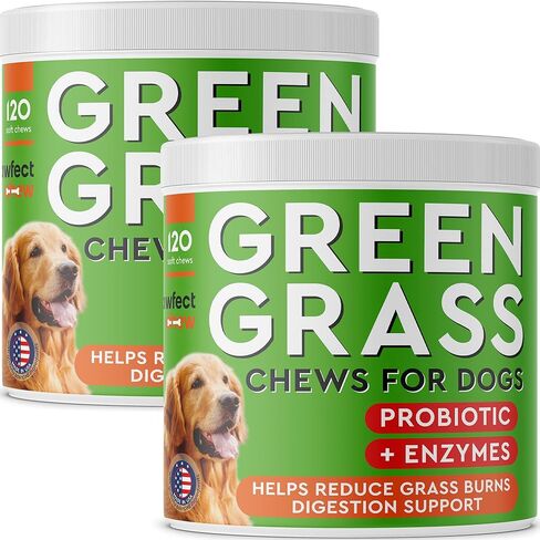Green Grass Dogs Chews w/Probiotics - Prevent Urine Burning Grass - Pee Gras Spot Saver - Dog Urine Neutralizer for Lawn Treats, UT & Gut Health for Dogs, Lawn Burn from Dog Urine in Kuwait