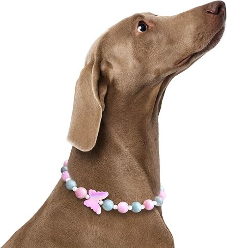 Butterfly Pearl Dog Necklace – Sweet Decorative Jewelry Beaded Collar for Girl Dogs in Kuwait