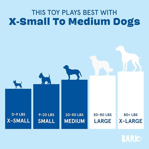 Barkbox Canned Smeat Dog Toy | 2-in-1 Plush Set with 2 Squeakers & Crinkle | Multi-Part Squeak Toy for Extra Small to Small Dogs in Kuwait