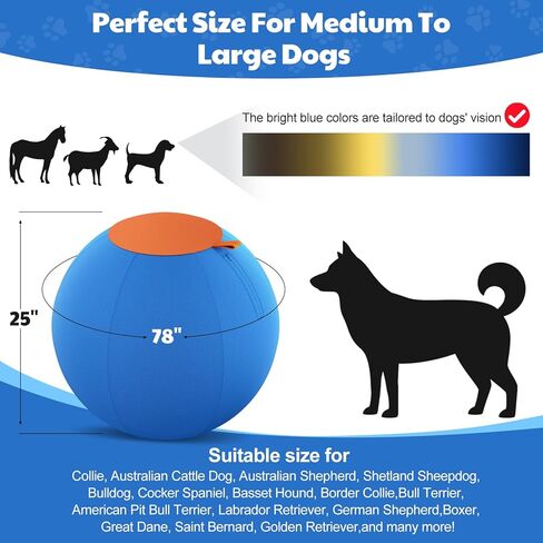 Happypaw 3.0 ترقية كرة الرعي للكلاب مقاس 25 بوصة - مقاومة معززة للمضغ ومواد شديدة التحمل، لعبة للكلاب معدات خفة الحركة للرعاة الأستراليين، كولي، تتضمن 5 رقع إصلاح in Kuwait