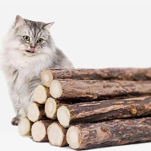 Cat Bite Toy for Teeth Cleaning & Relaxation, Fresh Fragrance Cat Chew Toy, Safe Non-Toxic Indoor Cat Toy, Soothing Calming for Kittens & Cats, Ideal Gift for Pet Owners in Kuwait