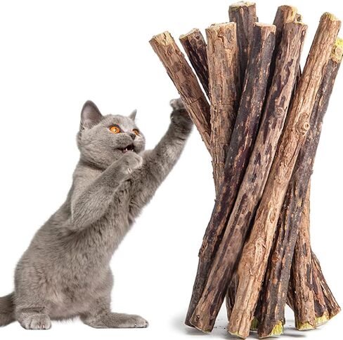 Cat Bite Toy for Teeth Cleaning & Relaxation, Fresh Fragrance Cat Chew Toy, Safe Non-Toxic Indoor Cat Toy, Soothing Calming for Kittens & Cats, Ideal Gift for Pet Owners in Kuwait