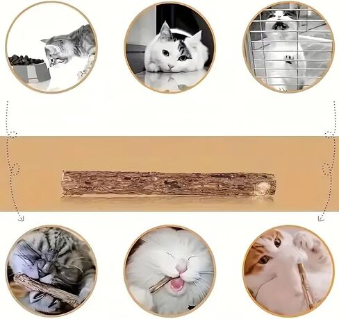 Cat Bite Toy for Teeth Cleaning & Relaxation, Fresh Fragrance Cat Chew Toy, Safe Non-Toxic Indoor Cat Toy, Soothing Calming for Kittens & Cats, Ideal Gift for Pet Owners in Kuwait