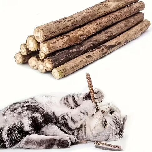 Cat Bite Toy for Teeth Cleaning & Relaxation, Fresh Fragrance Cat Chew Toy, Safe Non-Toxic Indoor Cat Toy, Soothing Calming for Kittens & Cats, Ideal Gift for Pet Owners in Kuwait