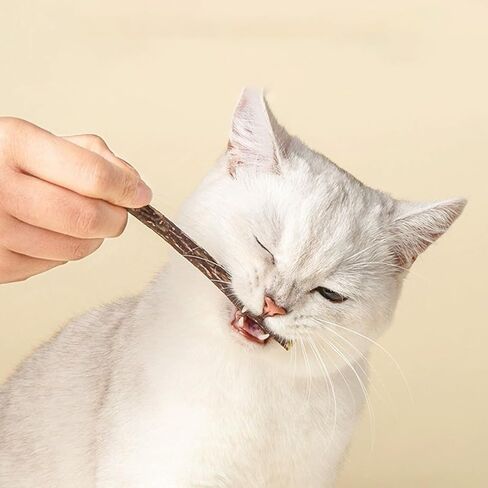 Cat Bite Toy for Teeth Cleaning & Relaxation, Fresh Fragrance Cat Chew Toy, Safe Non-Toxic Indoor Cat Toy, Soothing Calming for Kittens & Cats, Ideal Gift for Pet Owners in Kuwait