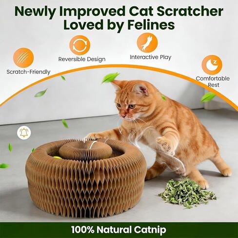 Magnetic Magic Organ Cat Scratcher Toy with 2 Balls, Multi-Shape Interactive Cardboard Cat Toy with Telescopic Elastic Teasing Stick, Enrichment Toy for Indoor Cats & Kittens (1 Pack) in Kuwait