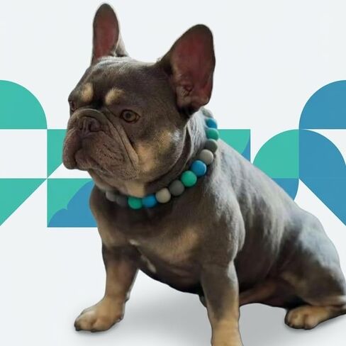 Silicone Bead Collar - Waterproof - 100% Non-Toxic - All Breeds - Sea Glass (22) in Kuwait