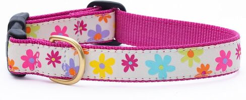 طوق Up Country Spring Fever للكلاب (صغير (9 بوصة - 15 بوصة) عرض 5/8 بوصة)، بيج in Kuwait