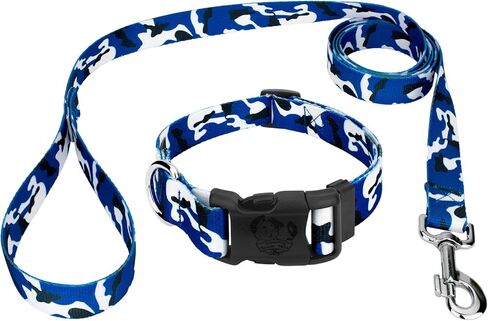 Country Brook Petz - Gone Fishin' Everyday Dog Collar and Leash - Sports and Athletics Collection Featuring Spirited Designs (1 Inch, Large) in Kuwait