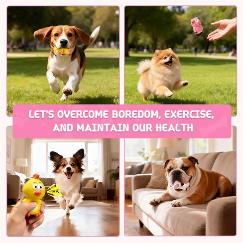 Small Squeaky Dog Toys, 3 Pack Latex Dog Chew Toy Set, Funny Animals Squeaky Balls for Interactive Fetch Play, Soft Rubber Teething Toy for Puppy Small Dogs in Kuwait
