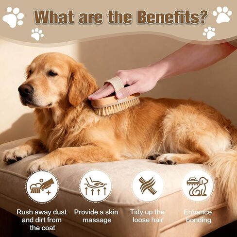 Pjordo Soft Pet Palm Brush for Dog & Cat, Dog Palm Shampoo Brush for Grooming & Cleaning, Handle Brushes for Short & Long Haired Cat, Natural Pet Fur Care Oil for Reducing Shedding, Shining Coat in Kuwait