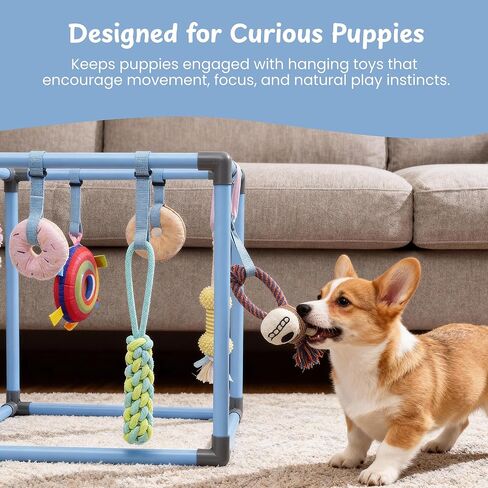 Nocciola Puppy Play Gym with 8 Hanging Toys, Indoor Jungle Gym Activities Center Playground for Puppies, Squeaky Plush Stuffed Dog Toys & Bonus Poop Bags, Pet Gifts for Dog Owners in Kuwait