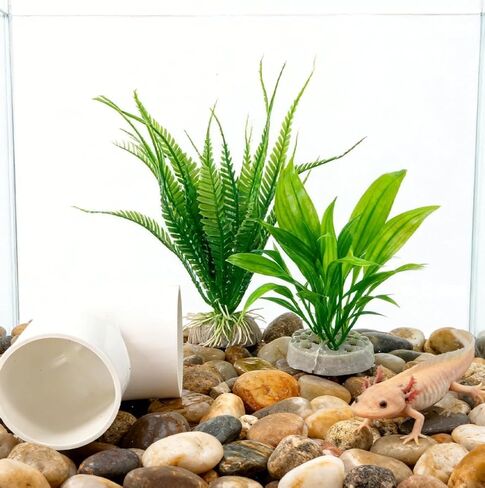 Axolotl Hide Tube and 2 Artificial Plants for Aquarium, Axolotl Cave and Aquatic Plant Set, Aquarium Decor Set, Safe Hide Tube & Green Plants for Axolotl, Fish, Turtles ,Fish, Tank Decorations Accesso in Kuwait
