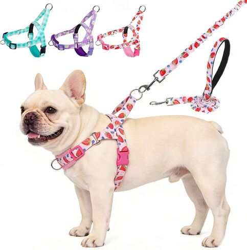EXPAWLORER No Pull Small Dog Harness and Leash Set, Adjustable Soft Breathable Mesh Puppy Vest with Padded, Quick Fit Escape Proof Walking Harness Easy Control Handle for Small Medium Dogs Green in Kuwait