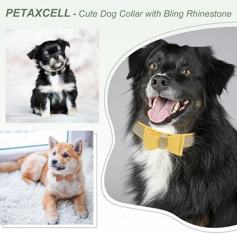 Cute Dog Collar with Bling Rhinestone, Bling Dog Collar Adjustable Leather Diamond Sparkling Jewel Accessories 17", (Brown), Intended for Teacup/Cat/Small Medium Large Pet in Saudi Arabia