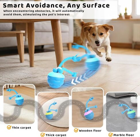 Interactive Dog Toys with Remote Control - 4 Play Modes, Obstacle Avoidance & Replaceable Chew-Resistant Rope, USB Rechargeable Automatic Moving Ball, Mental Stimulation for Small Medium Dogs in Kuwait