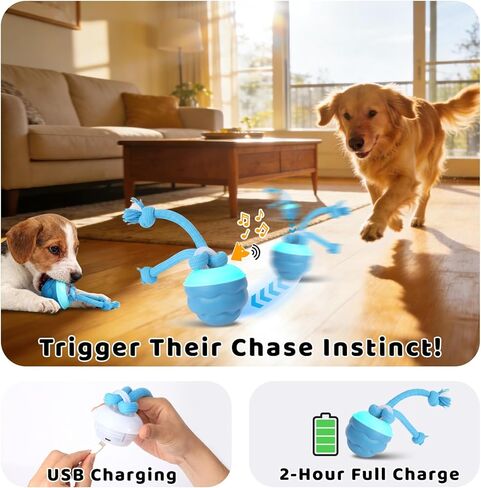 Interactive Dog Toys with Remote Control - 4 Play Modes, Obstacle Avoidance & Replaceable Chew-Resistant Rope, USB Rechargeable Automatic Moving Ball, Mental Stimulation for Small Medium Dogs in Kuwait