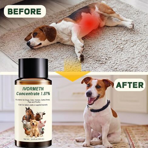 Pet Supplies, Suitable for Horses, Sheep, Cows, Cats, Dogs, and Poultry.100mL in Kuwait
