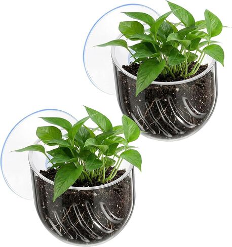 2PCS Aquarium Plant Holder, Fish Tank Plant Holder for Aquascape Decoration, Red Worm Fish Feeder, Aquarium Planter Cup with Suction Cup, Clear in Kuwait