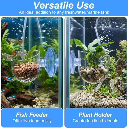 2PCS Aquarium Plant Holder, Fish Tank Plant Holder for Aquascape Decoration, Red Worm Fish Feeder, Aquarium Planter Cup with Suction Cup, Clear in Kuwait