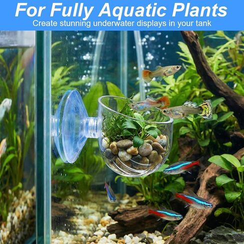 2PCS Aquarium Plant Holder, Fish Tank Plant Holder for Aquascape Decoration, Red Worm Fish Feeder, Aquarium Planter Cup with Suction Cup, Clear in Kuwait