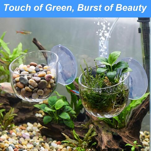 2PCS Aquarium Plant Holder, Fish Tank Plant Holder for Aquascape Decoration, Red Worm Fish Feeder, Aquarium Planter Cup with Suction Cup, Clear in Kuwait