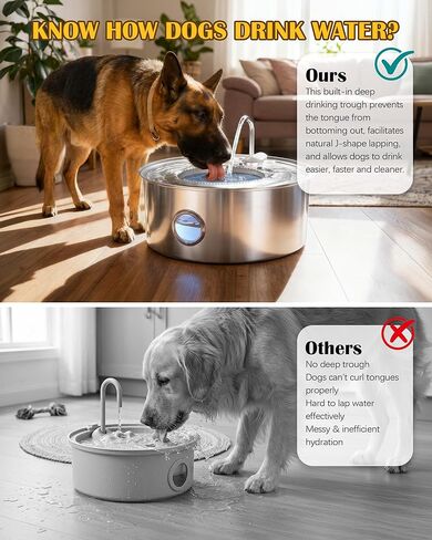 Dog Water Fountain Stainless Steel 8L Automatic Pet Waterer, Quiet Pump, Visible Water Window, Easy to Clean for Large Dogs & Multi-Pet Homes in Kuwait
