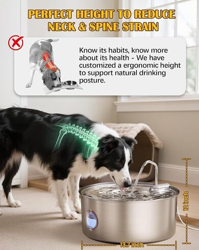 Dog Water Fountain Stainless Steel 8L Automatic Pet Waterer, Quiet Pump, Visible Water Window, Easy to Clean for Large Dogs & Multi-Pet Homes in Kuwait