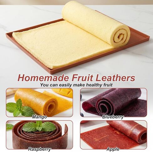 10pcs Set Silicone Dehydrator Sheets Roll Cake Silicone Tray Nonstick Silicones Dehydrator Trays Mats Pan for Jerky Fruit Meat Vegetables Crackers in Kuwait