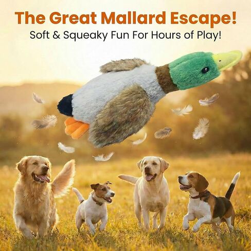 Paw-FECT Piece Mallard Duck Toy, Squeaky Plush Toy, Realisitic Design and Soft Durable Material, Crinkle Wings, Great for Small/Medium Size Dogs, for Teething and Chewing in Kuwait