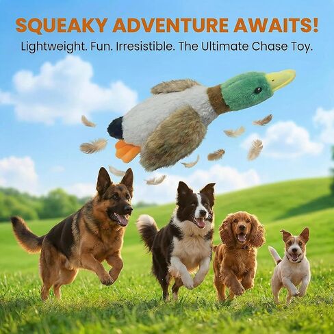Paw-FECT Piece Mallard Duck Toy, Squeaky Plush Toy, Realisitic Design and Soft Durable Material, Crinkle Wings, Great for Small/Medium Size Dogs, for Teething and Chewing in Kuwait