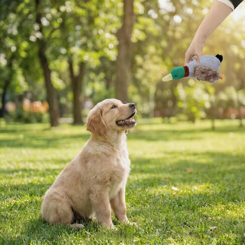 Paw-FECT Piece Mallard Duck Toy, Squeaky Plush Toy, Realisitic Design and Soft Durable Material, Crinkle Wings, Great for Small/Medium Size Dogs, for Teething and Chewing in Kuwait