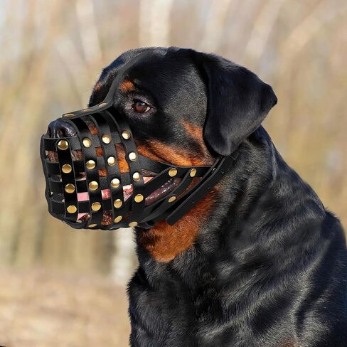 OOPSDOGGY Rottweiler Dog Muzzle for Large Dogs - Leather Breathable Secure Basket Muzzle for Large Breeds Prevents Biting No Chewing Adjustable (Black) in Saudi Arabia