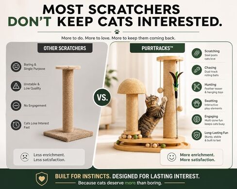 PurrTracks Dual-Track Cat Scratcher with Feather Toy in Kuwait