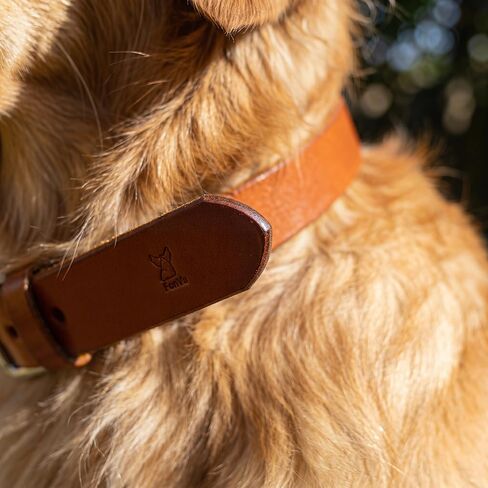 XanYu Premium Genuine Leather Dog Collar – Adjustable Heavy Duty Pet Collar with Sturdy Metal Buckle, Soft & Classic for Puppy and Small, Medium, Large Dogs (Tan) in Kuwait