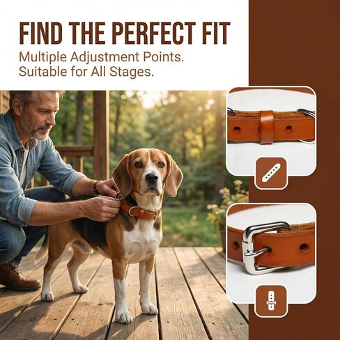 XanYu Premium Genuine Leather Dog Collar – Adjustable Heavy Duty Pet Collar with Sturdy Metal Buckle, Soft & Classic for Puppy and Small, Medium, Large Dogs (Tan) in Kuwait