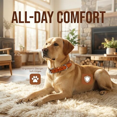 XanYu Premium Genuine Leather Dog Collar – Adjustable Heavy Duty Pet Collar with Sturdy Metal Buckle, Soft & Classic for Puppy and Small, Medium, Large Dogs (Tan) in Kuwait