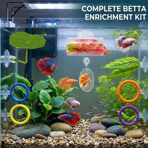 مجموعة مكونة من 8 قطع لأصحاب أسماك البيتا، وألعاب أسماك البيتا، وألعاب إثراء Be-TTA للتحفيز الذهني والتمرين، ومرآة Be-TTA البلاستيكية ومجموعة الملحقات التفاعلية in Kuwait