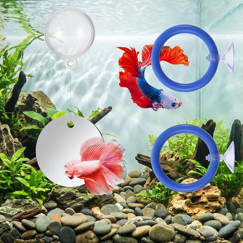 2Pcs Floating Feeding Ring Betta Mirror for Aquarium Betta Fish Tank Accessories Beta Fish Exercise Ring Set Fishes Feeding Rings for Tank Enrichment in Kuwait