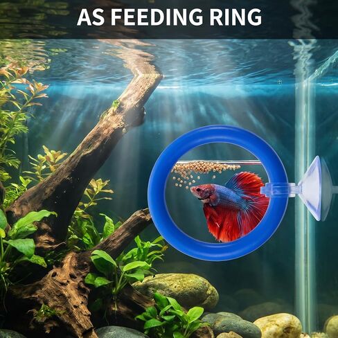 2Pcs Floating Feeding Ring Betta Mirror for Aquarium Betta Fish Tank Accessories Beta Fish Exercise Ring Set Fishes Feeding Rings for Tank Enrichment in Kuwait