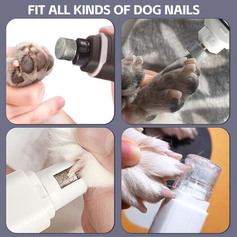 Dog Nail Grinder Wheels Head Bits 2PCS, Diamond Grinding Wheels Compatible for Casfuy, LOPSIC, YABIFE, LuckyTail, boomki, and Most Brands in Kuwait