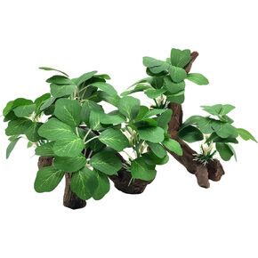 M2cbridge Fish Tank Plastic Soft Grass Artificial Betta Water Plants Decoration Goldfish Hide 2pcs (Light Purple) in Saudi Arabia