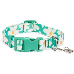 YOULY من Petco Daisy طوق للكلاب متوسط ​​الحجم in Kuwait