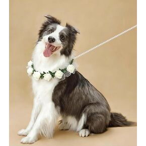 Dog Flower Collar with Pearl Leash Floral Wedding Accessory for Small Dogs, White Rose Eucalyptus Detachable Pet Necklace for Photoshoot & Party in Saudi Arabia
