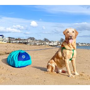 Dog Anchor™ - أخف ربطة عنق للكلاب في العالم - مصممة للشاطئ - وقت خالي من التوتر معًا - تناسب جميع السلالات in Kuwait