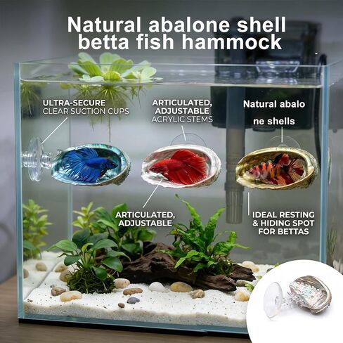 3 Pcs Betta Hammock, Rainbow Iridescent Floating Fish Cave, 3D Printed PLA Aquarium Resting Spot with Feeder Ring, Betta Hideout Shrimp Cave for Nano Tank in Kuwait