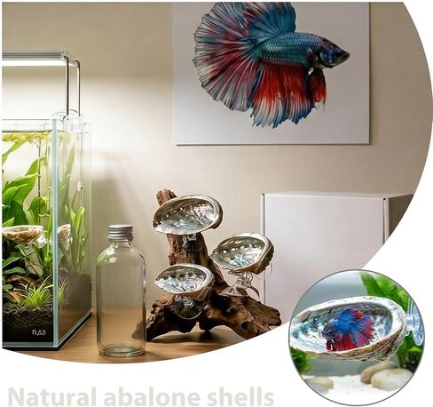 3 Pcs Betta Hammock, Rainbow Iridescent Floating Fish Cave, 3D Printed PLA Aquarium Resting Spot with Feeder Ring, Betta Hideout Shrimp Cave for Nano Tank in Kuwait